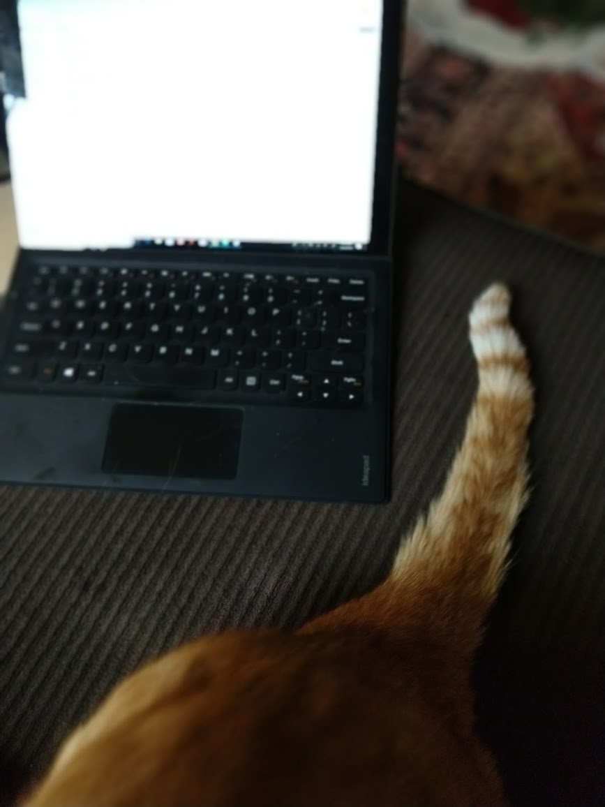 Furry Office Assistant